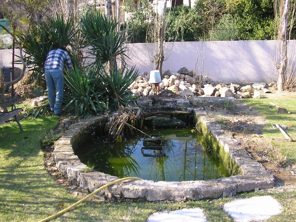 bassin de jardin 2014
